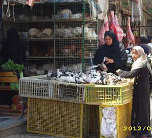 Auch lebende Tiere werden angeboten 