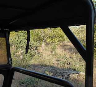 Krüger Nationalpark