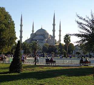 Blick auf den Sprungbrunnen