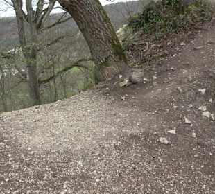 Wanderung rund um das Rusenschloss Gerhausen