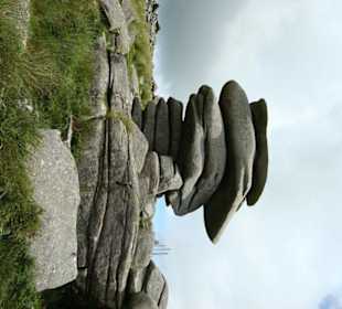 Bodmin Moor
