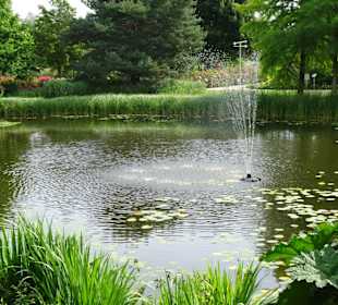 Eindrücke vom Rundgang durch den Park der Gärten
