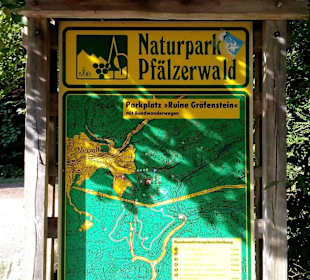 Burg Gräfenstein in Rodalben