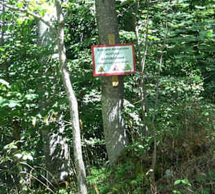 Burgruine Blankenstein