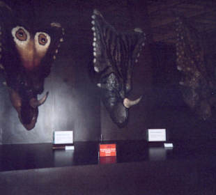 Cabezas Jurasica