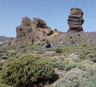 Nationalpark --> Teide