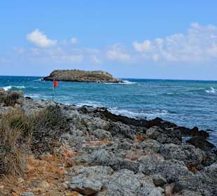 Ein paar Inspirationen von unserer Strandwanderung