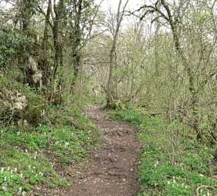 Wanderung rund um das Rusenschloss Gerhausen