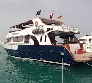 Tour am 21.05.2014 Mogli - Delfine & Freunde 