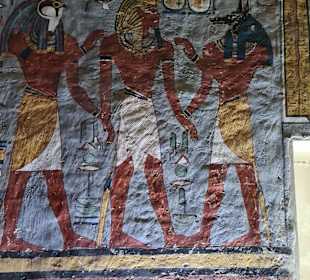Anubis