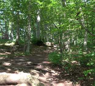 Premiumwanderweg "hochgelegen"