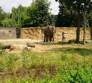 Safari Dvůr Králové nad Labem