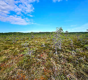Lahemaa Nationalpark