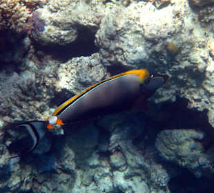 Bilder vom 13.10.16 von mir geschossen