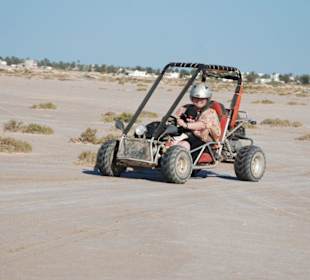 Buggytour