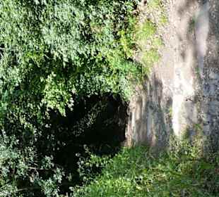 Wanderweg / Trampelpfad zum MMM