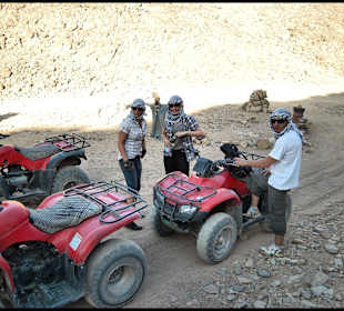 Quadsafari