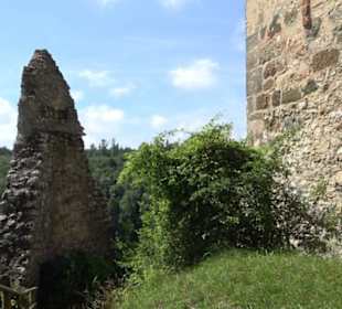 Burgruine Niederhaus