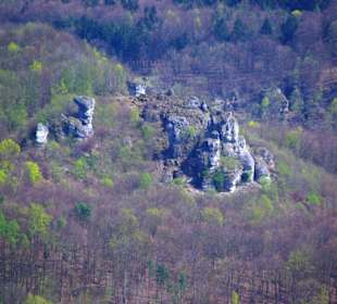 Oben am Walberla Nordseite