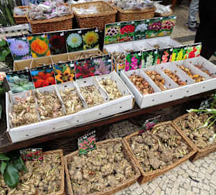 Einkaufsmöglichkeiten auf dem Blumenfestival