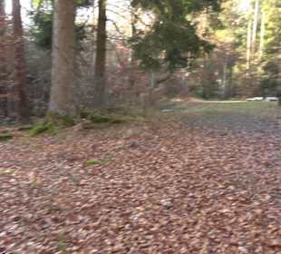 Blockhütte