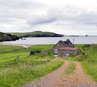Shetland