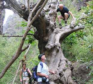 In der Höllenschlucht