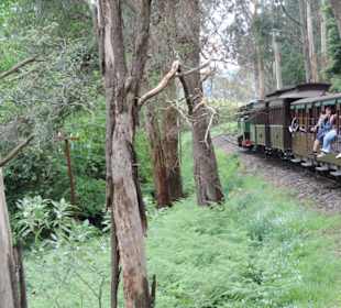 Mit der Puffing Billy Dampfbahn unterwegs