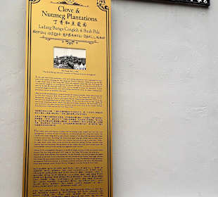 Infotafel Ann Siang Hill Park