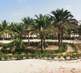 Gartenanlage