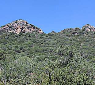 Der Hintergrund von Cala Millor