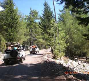 Einer nach dem anderen