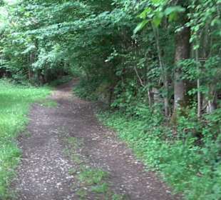 Schutzgebiet Spitzberg, Pfaffenberg