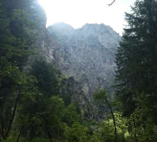 Unterwegs auf Halbinsel Hirschau / St. Bartholomä