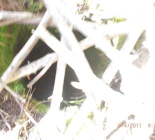 Schlecht gesicherte Zisterne