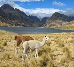 Laguna querococha