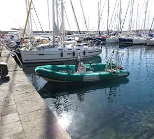 Hafen Puerto de Mogan