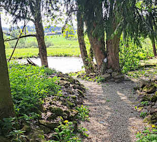 Wandern Waldmünchen