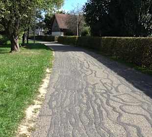 Schaukelweg an der Donau