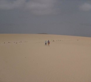 Dünen bei Corralejo