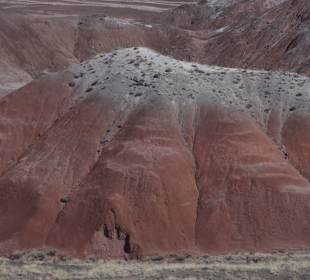 Painted Desert _вид18