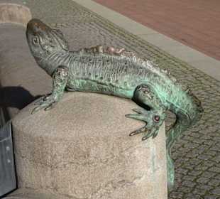 Echse am Rand des Stuhlmannbrunnens