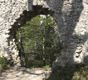 Ruine Wartstein