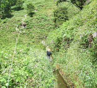 Welchen Dünger nehmen die hier?
