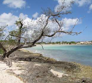 Die Lagune von weitem