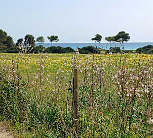 Wandern Sa Coma