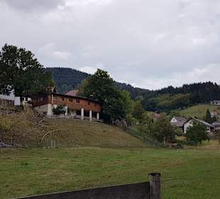 Wandern Mummelsee
