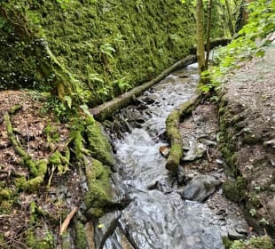 Wandern Bernkastel-Kues