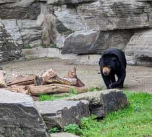 Zoologischer Garten Köln