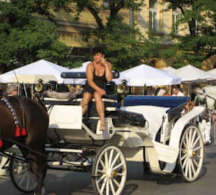 Tolle Kutschen auf dem Rynek